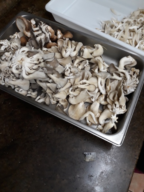 Heiarii privilégie les produits locaux quand c'est possible. Heiarii privilégie les produits locaux quand c'est possible.