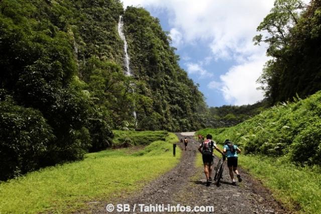 Avant le lac Vaihiria Avant le lac Vaihiria