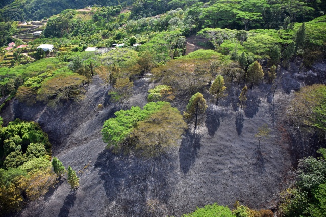 260450349_4559131137501561_141632836658005421_n 260450349_4559131137501561_141632836658005421_n