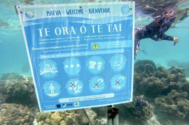 sentier sous-marin sentier sous-marin