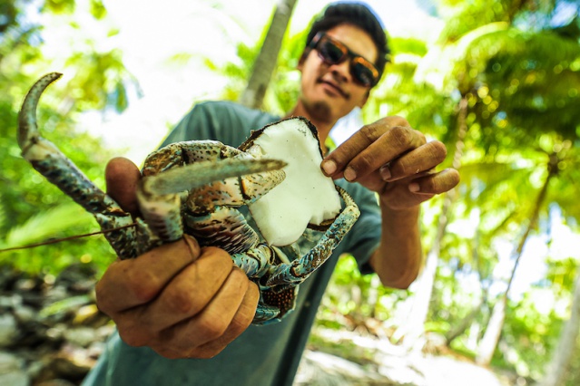 Kaveu Rangiroa(4) Kaveu Rangiroa(4)
