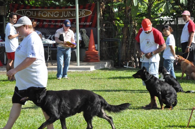concours-obe-18-05-2013-classe1b concours-obe-18-05-2013-classe1b