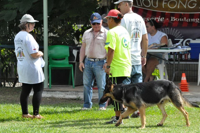 concours-obe-18-05-2013-CSAU concours-obe-18-05-2013-CSAU