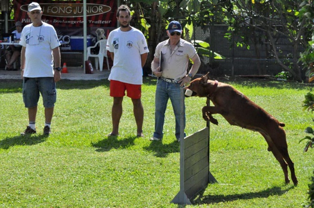 concours-obe-18-05-2013-saut-haltere concours-obe-18-05-2013-saut-haltere