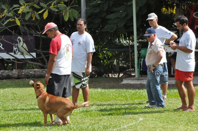 marcel-suhas-piihoromai_no_moorea marcel-suhas-piihoromai_no_moorea