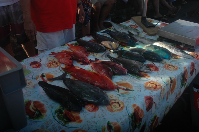 de belles pêches ont été présentées lors de ces 2 journées
