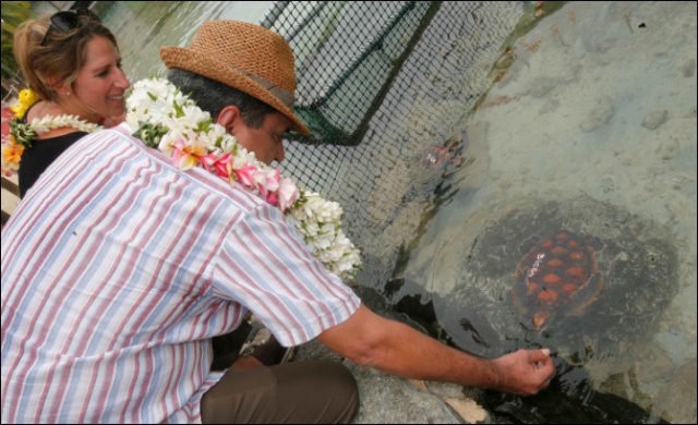 2014-10-21 VISITE CLINIQUE DES TORTUES (4)