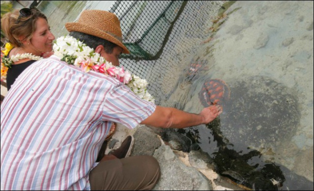 2014-10-21 VISITE CLINIQUE DES TORTUES (2)