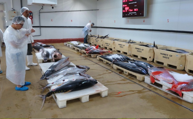 2015-01-06- visite Fisher TNOF (4)