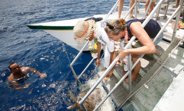 2015-03-30_161947 2015-03-30_161947