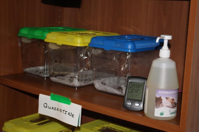 Mise en quarantaine.