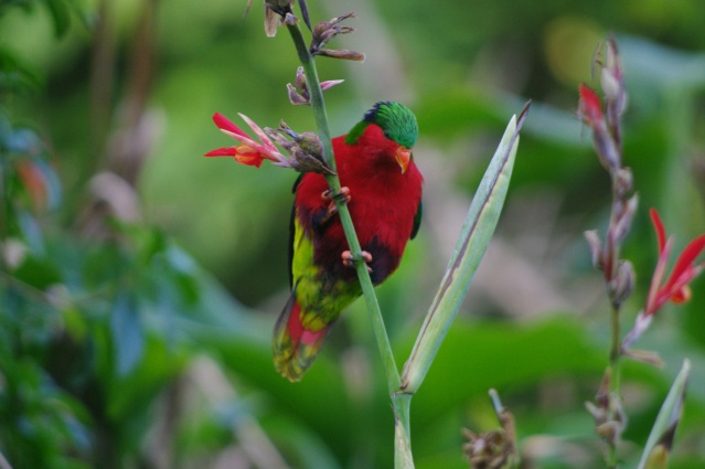 23-Ura perche©Caroline Blanvillain