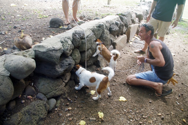Ua Huka-Chasse au rat polynesien-Hane1