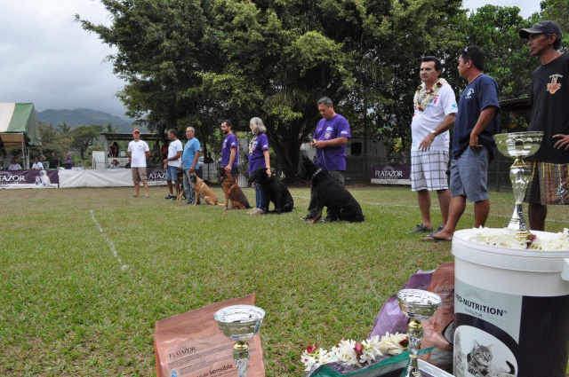 Concours canin au club de Pirae du 2 au 4 octobre. Concours canin au club de Pirae du 2 au 4 octobre.