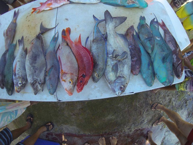 La pêche de Michel WILLIAMS lors de la première journée