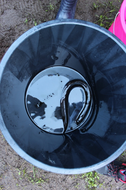 "Les vallées sont vivantes", affirme Heheria Helme, doctorante. "Les vallées sont vivantes", affirme Heheria Helme, doctorante.