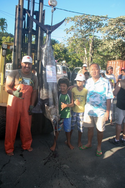 IMG_1378 (Large) IMG_1378 (Large)