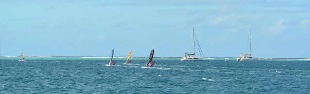 FREE RIDE CUP.6488 (1)