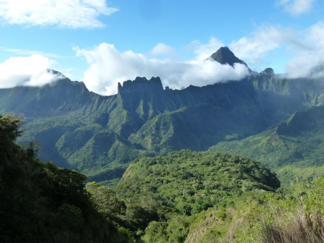 Vue du plateau de Maraeti'a. Les vestiges de la forêt naturelle sont en bord de plateau, en fond d'image. Crédit : JYM.