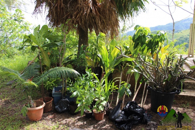 16593680_10207116650709467_410271333_o