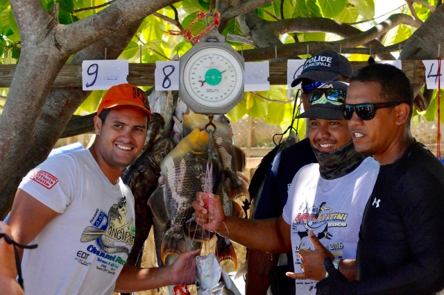 12-FAREREI HAGA 4 12-FAREREI HAGA 4