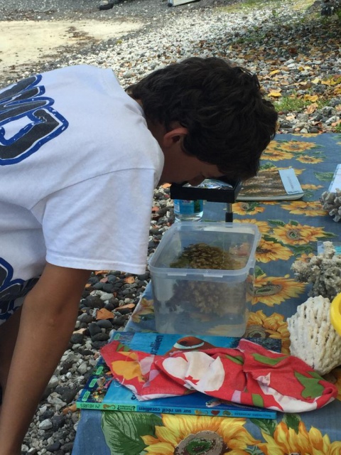 Sortie éco-citoyenne du collège Anne Marie Javouhey. Sortie éco-citoyenne du collège Anne Marie Javouhey.