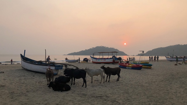 Tour de Goa 2018 - Crédit : Patrick Candé. Tour de Goa 2018 - Crédit : Patrick Candé.