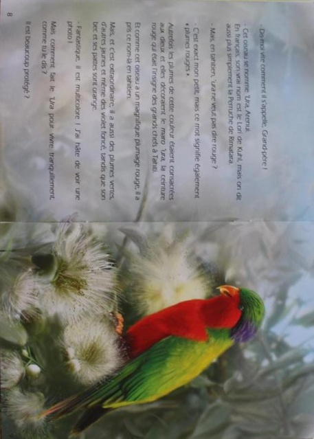 'Ura, la perruche de Rimatara