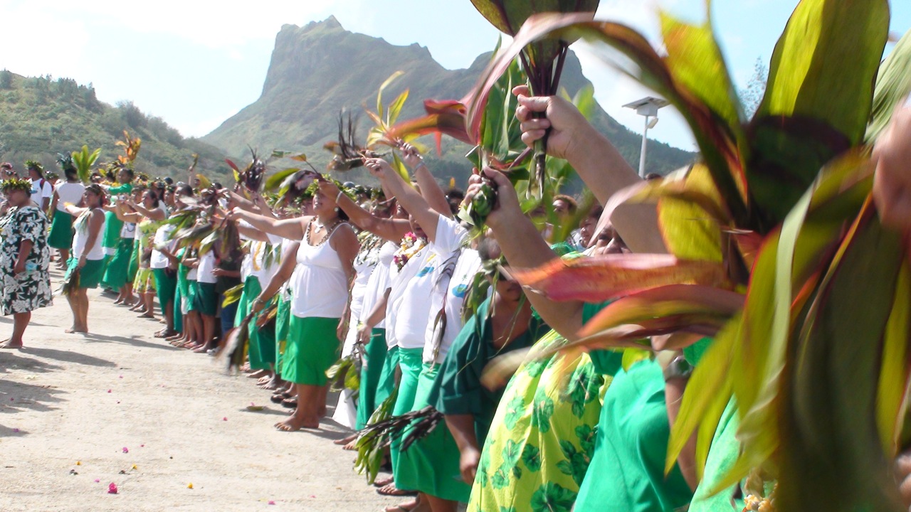 DSC03305.jpg DSC03305.jpg