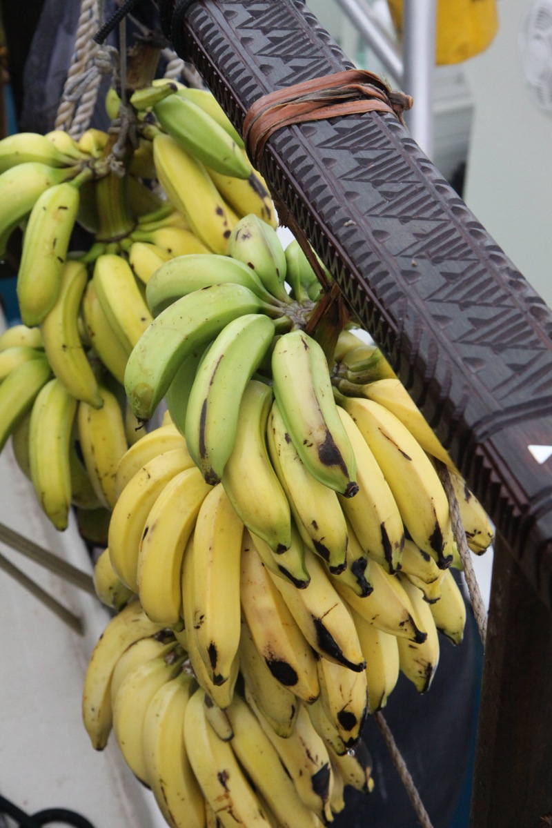 Tavaru Moorea-01.jpg Tavaru Moorea-01.jpg