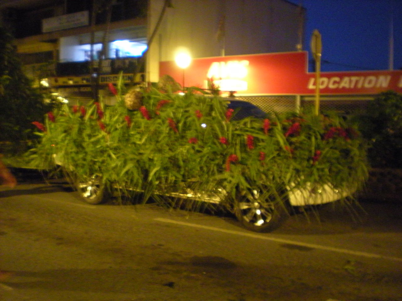 DSCN2809.JPG DSCN2809.JPG