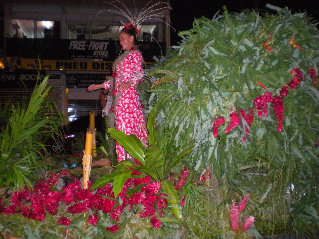 DSCN2816.JPG DSCN2816.JPG