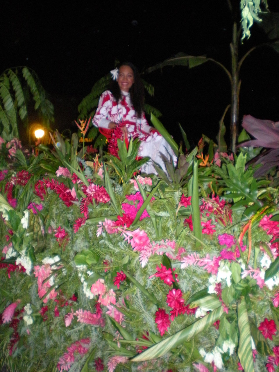 DSCN2820.JPG DSCN2820.JPG