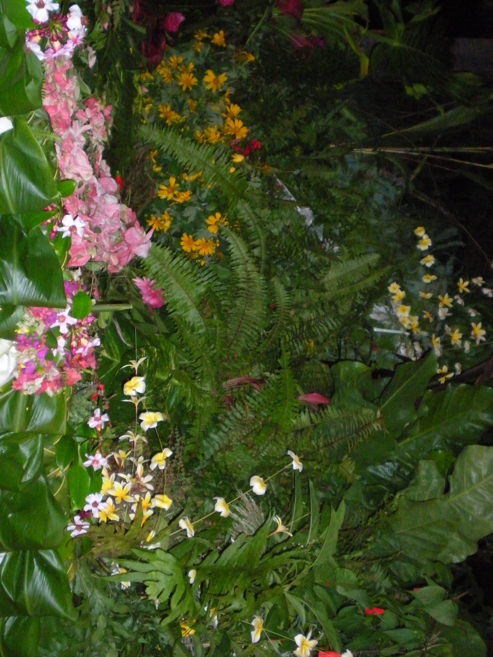 DSCN2822.JPG DSCN2822.JPG