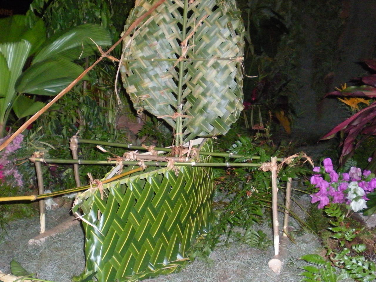 DSCN2824.JPG DSCN2824.JPG