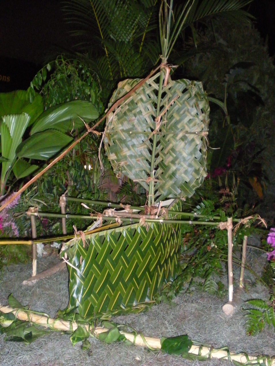 DSCN2825.JPG DSCN2825.JPG