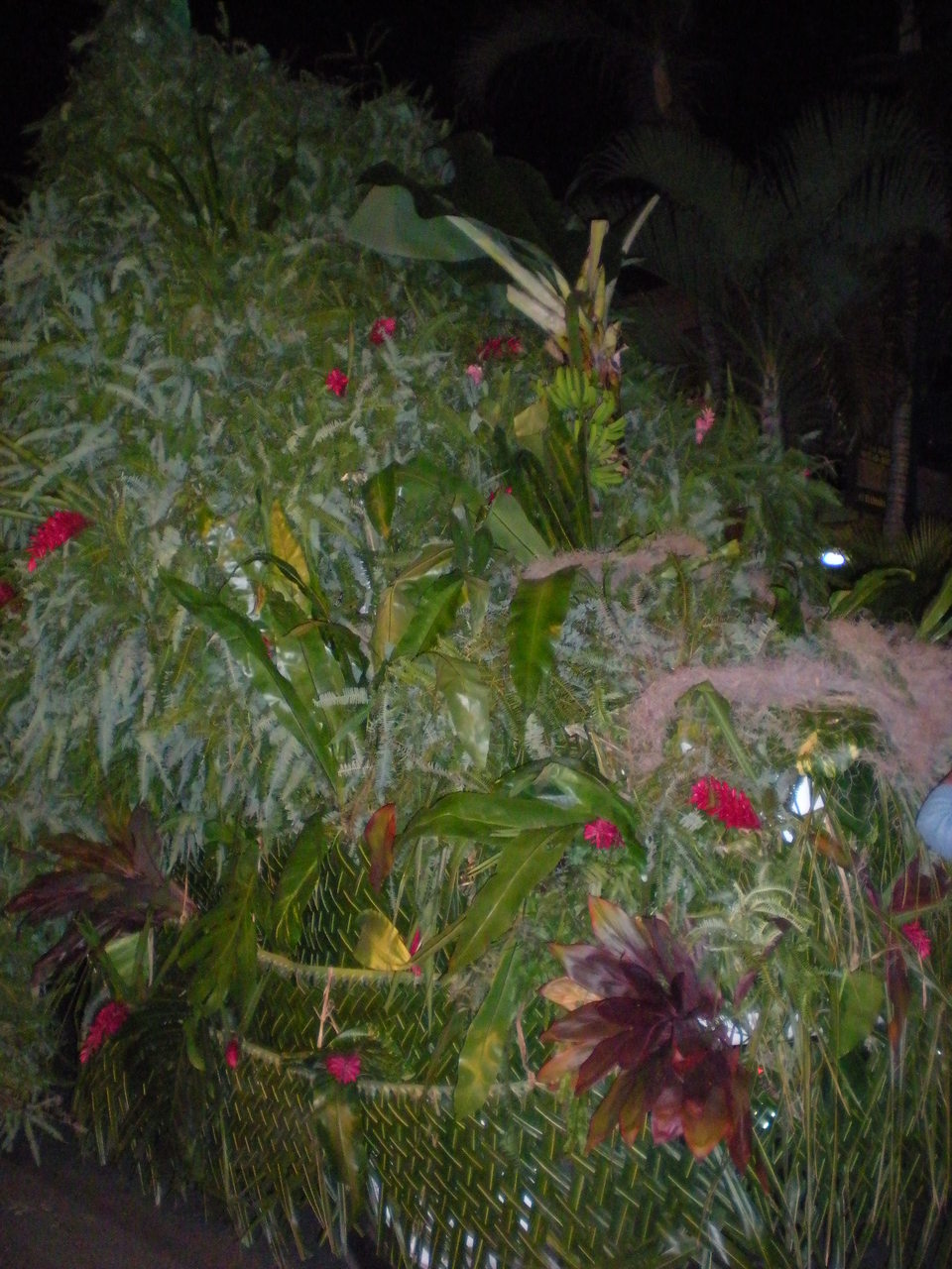 DSCN2826.JPG DSCN2826.JPG