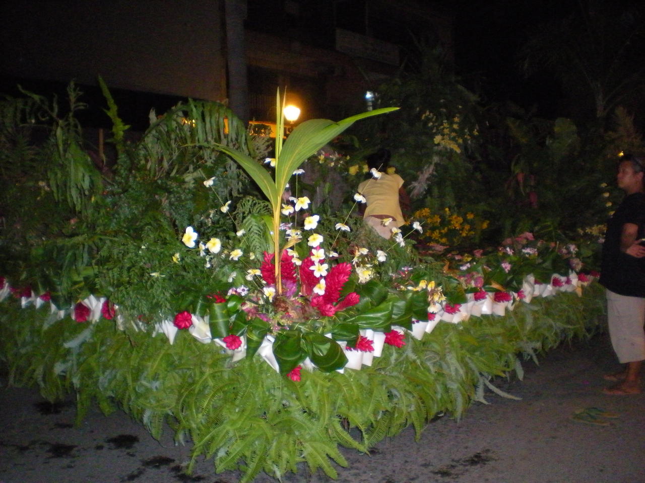 DSCN2831.JPG DSCN2831.JPG