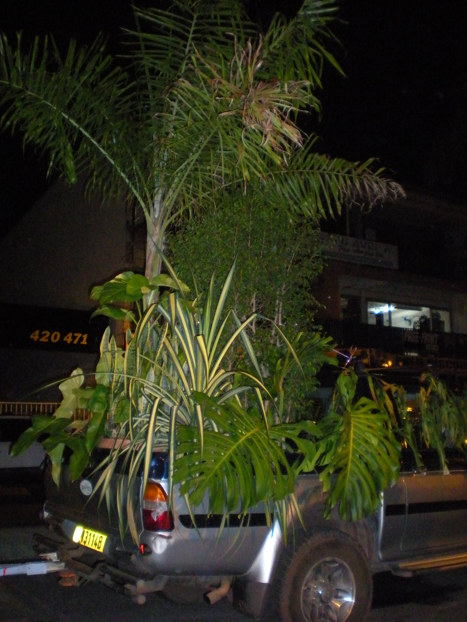 DSCN2833.JPG DSCN2833.JPG