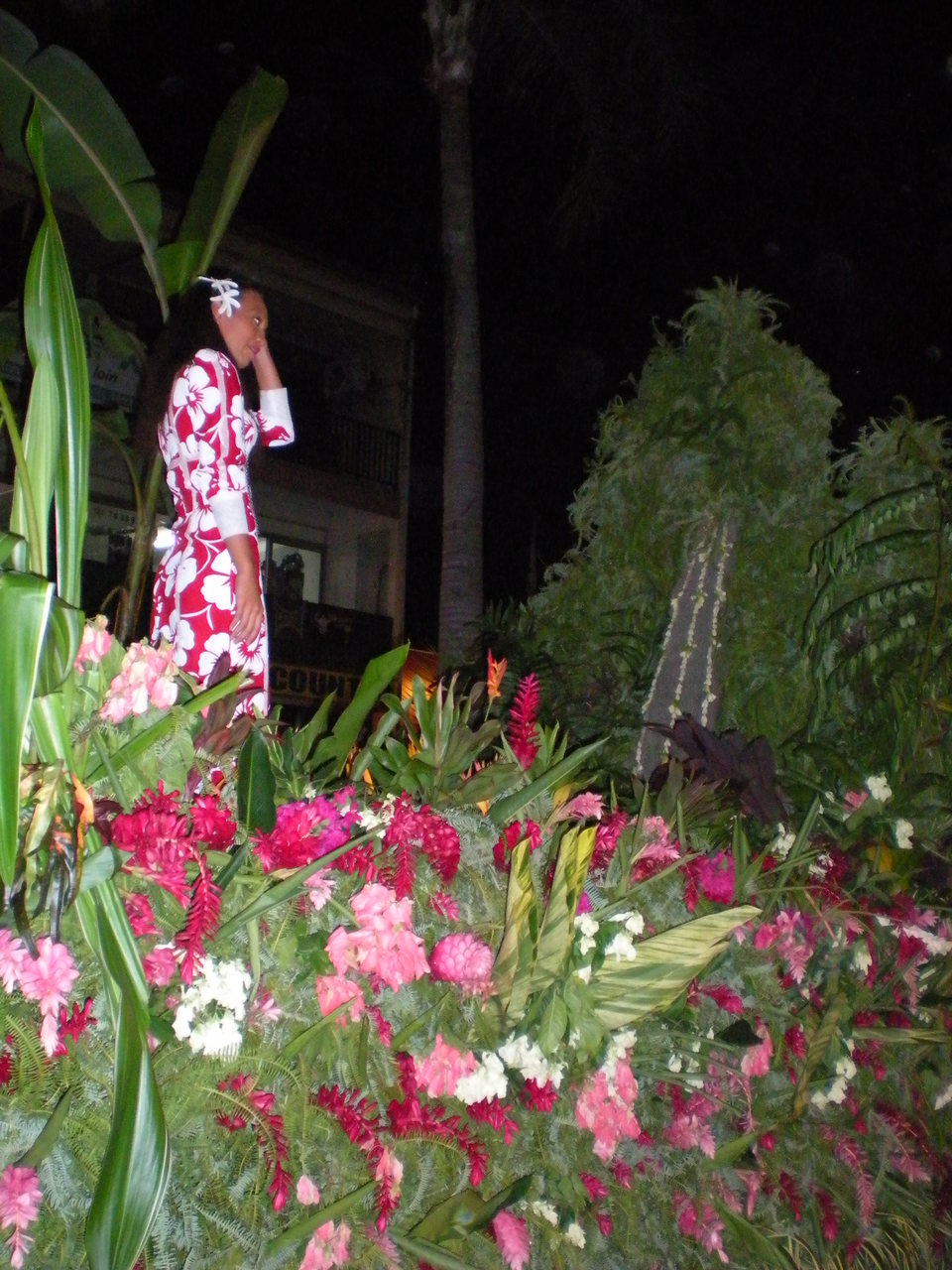 DSCN2834.JPG DSCN2834.JPG