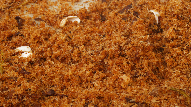 monoik.jpg monoik.jpg