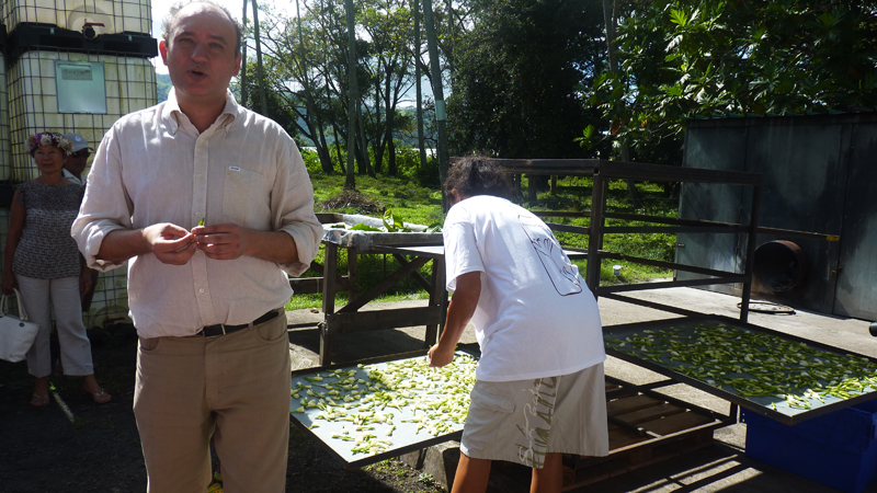 monoin.jpg monoin.jpg