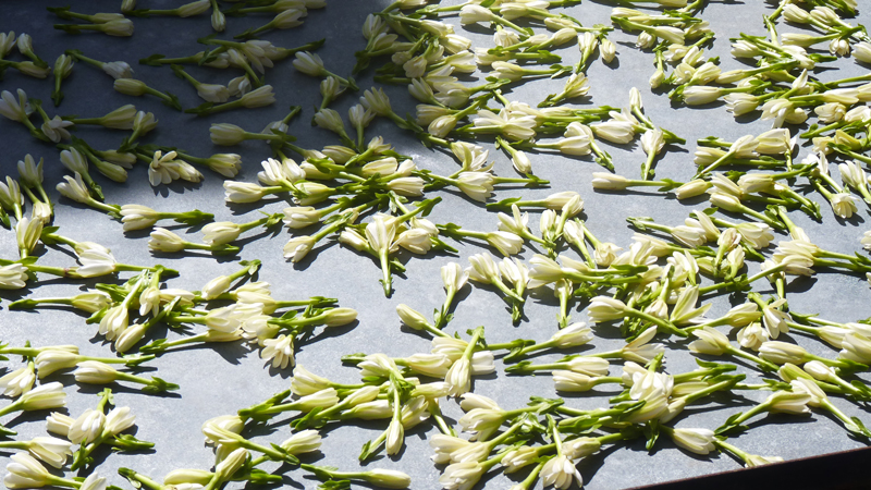 monoio.jpg monoio.jpg