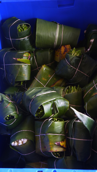 monoip.jpg monoip.jpg