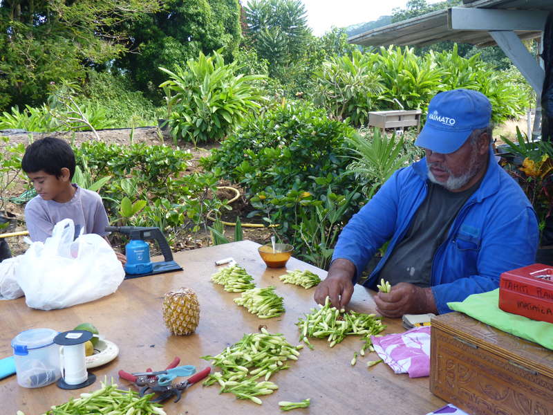 monoiy.jpg monoiy.jpg