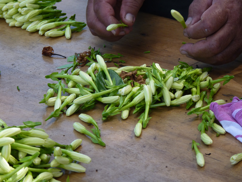 monoiz.jpg monoiz.jpg